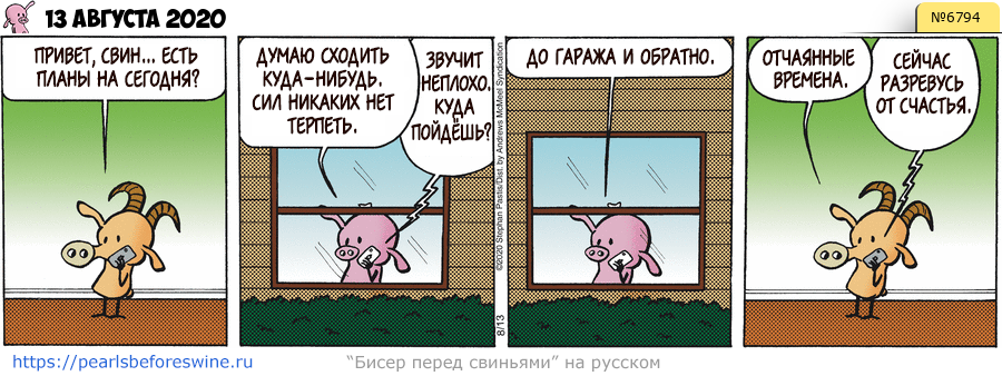 Комикс 2020-08-13
