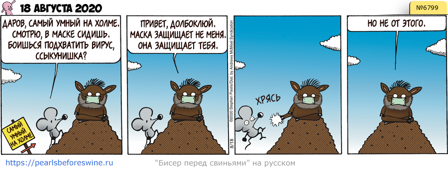 Комикс 2020-08-18