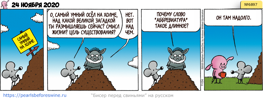 Комикс 2020-11-24
