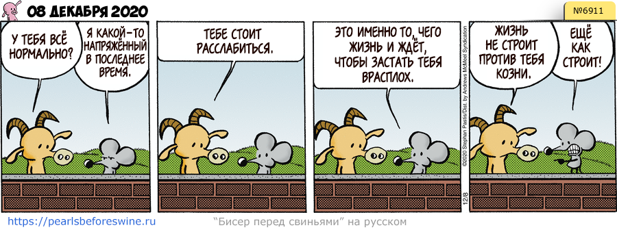 Комикс 2020-12-08