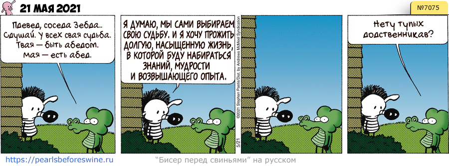 Комикс 2021-05-21
