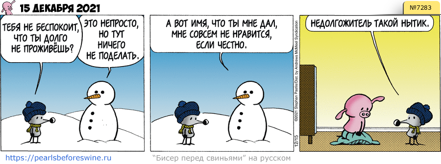 Комикс 2021-12-15