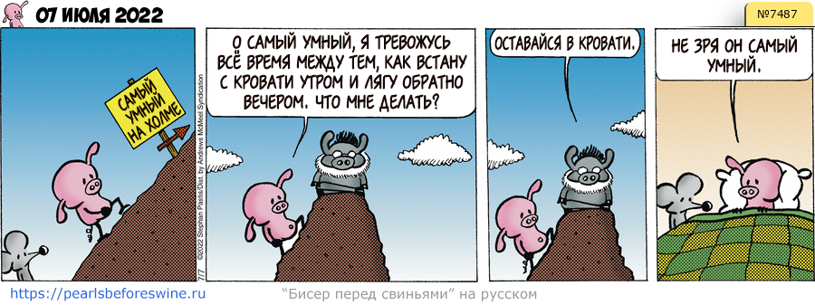 Комикс 2022-07-07