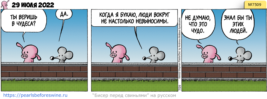 Комикс 2022-07-29