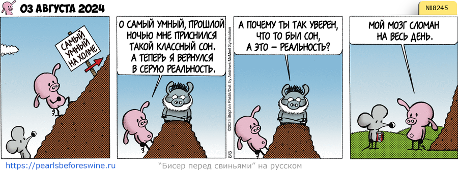 Комикс 2024-08-03