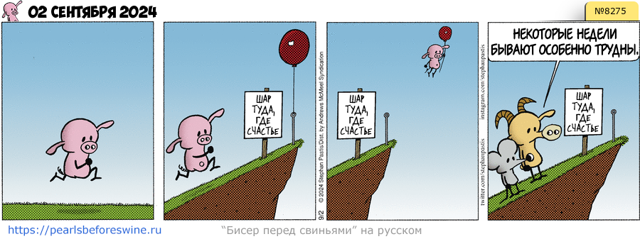 Комикс 2024-09-02