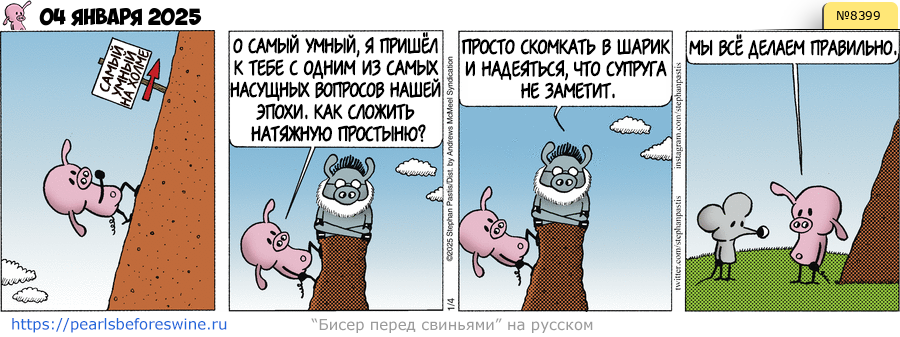 Комикс 2025-01-04