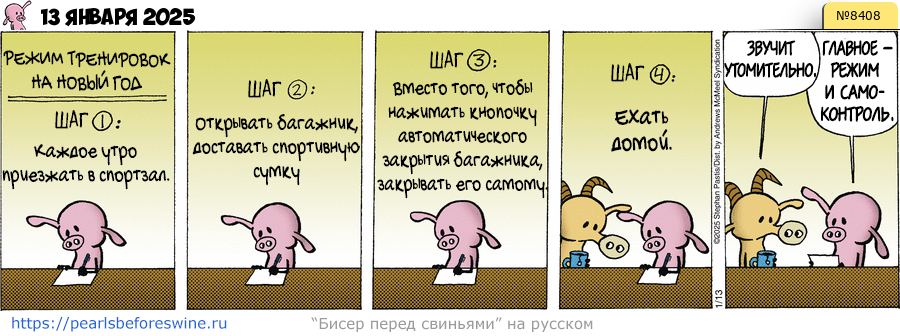 Комикс 2025-01-13