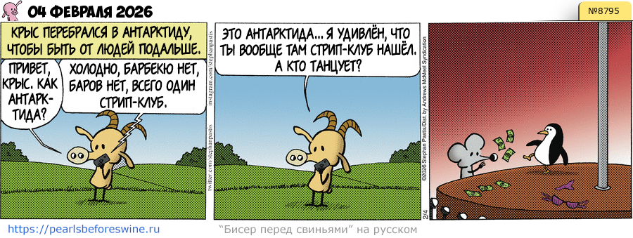 Комикс 2026-02-04